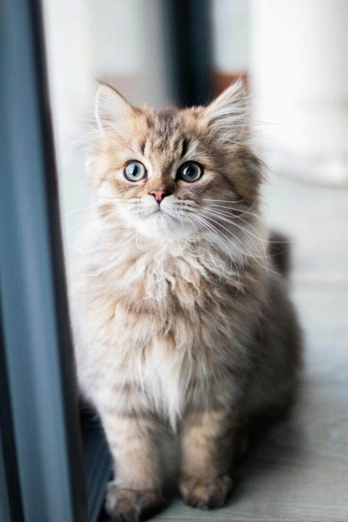 Photo by Jeanie de Klerk on Unsplash